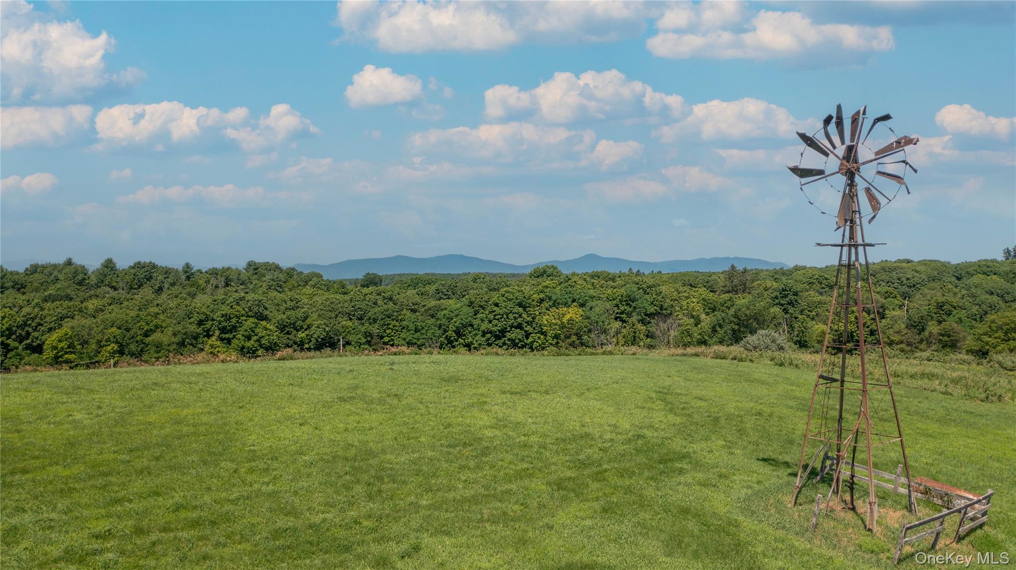 151 Rowe Road Red Hook, NY 12571 - Photo 20 of 35 a view of a green yard