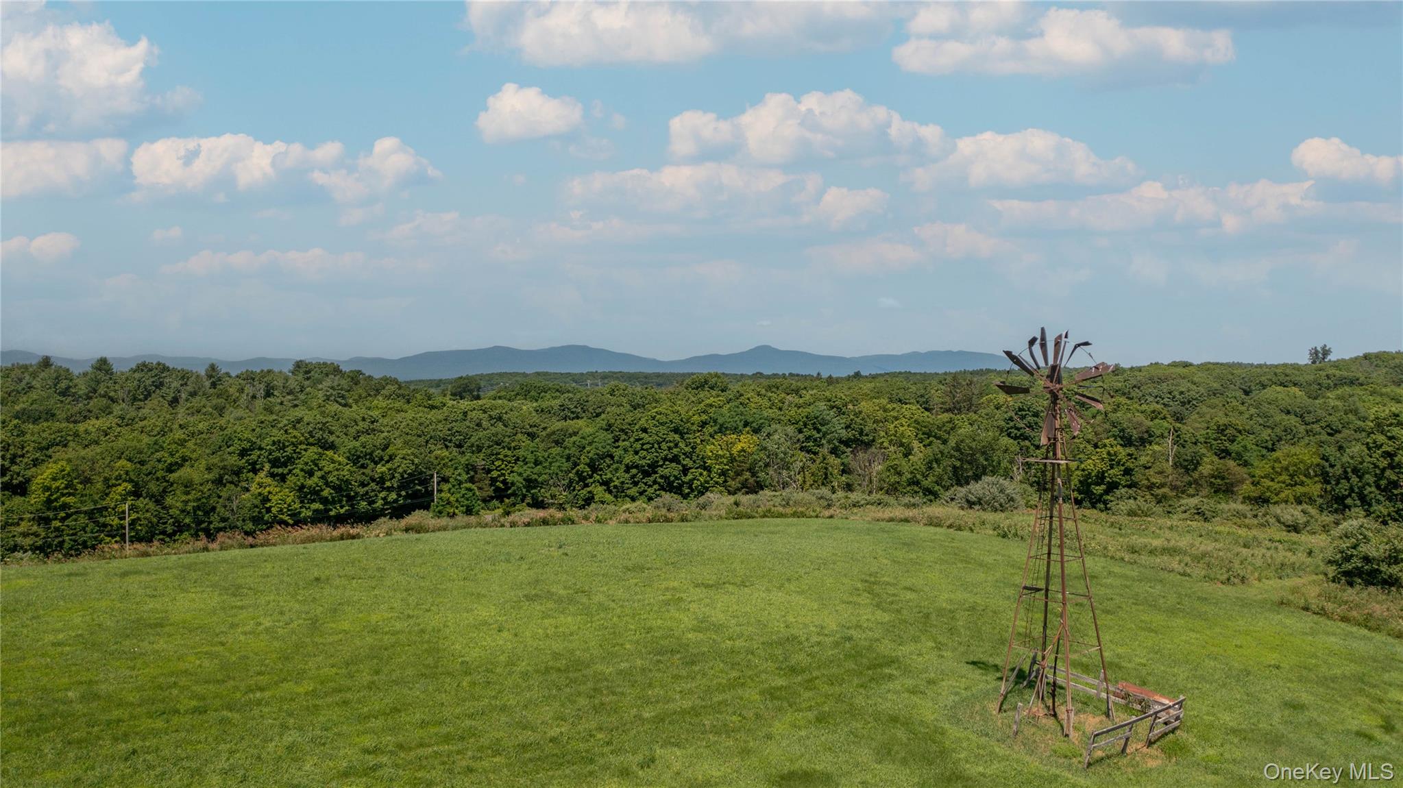 151 Rowe Road Red Hook, NY 12571 - Photo 6 of 35 a view of a big yard with potted plants