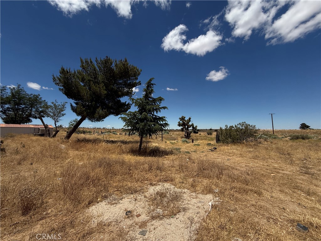 11744 Wagon Wheel Road Phelan, CA 92371 - Photo 19 of 26
