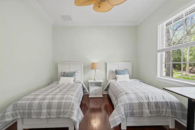 a view of a backyard with plants