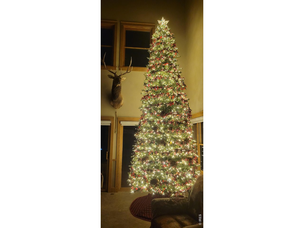 2619 Ridge Lane Estes Park, CO 80517 - Photo 46 of 48 Christmas time!