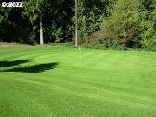 25230 South Wallens Road Estacada, OR 97023 - Photo 18 of 22