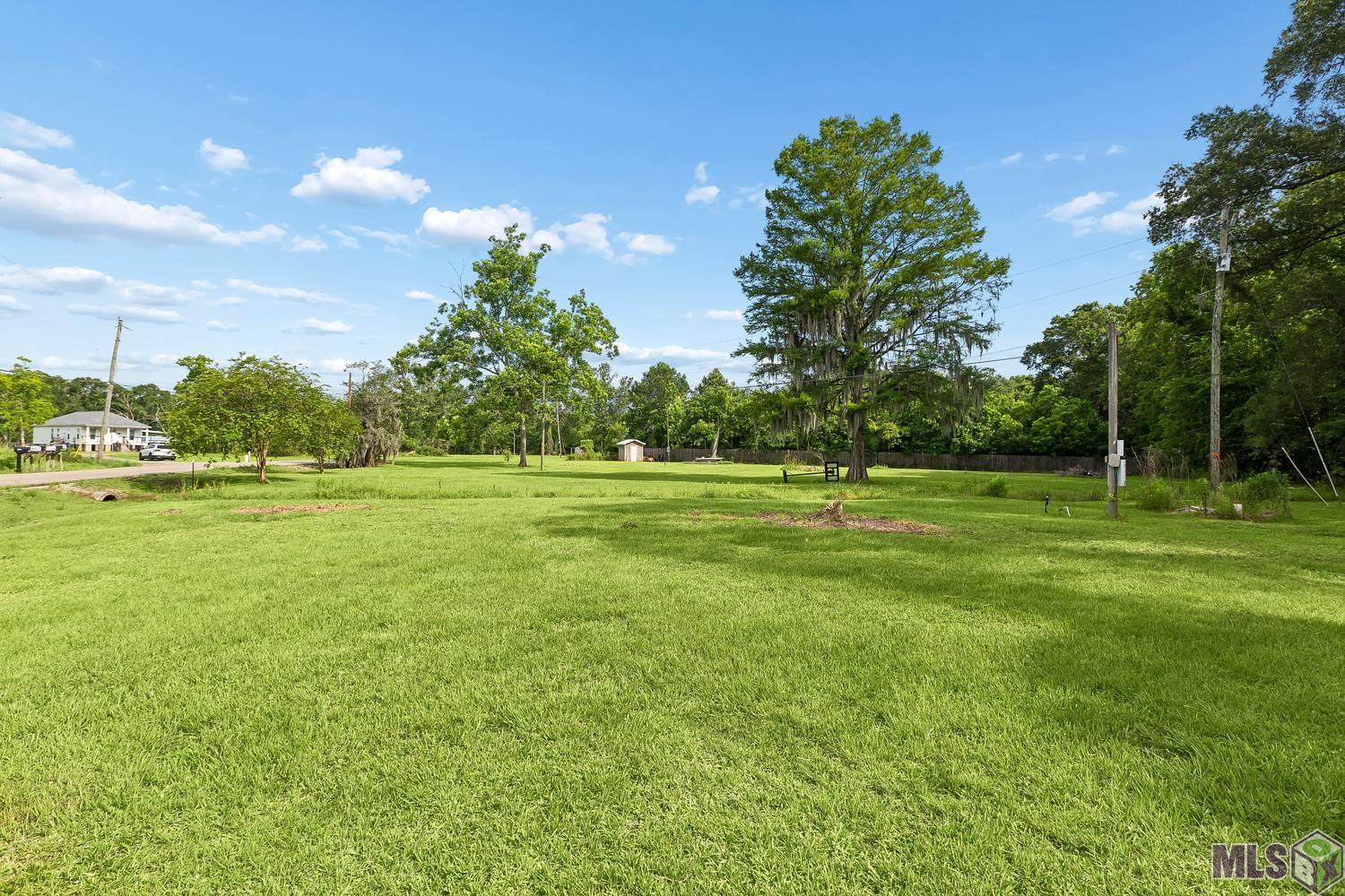 12246 Peter Bourgeois Road St. Amant, LA 70774 - Photo 6 of 21