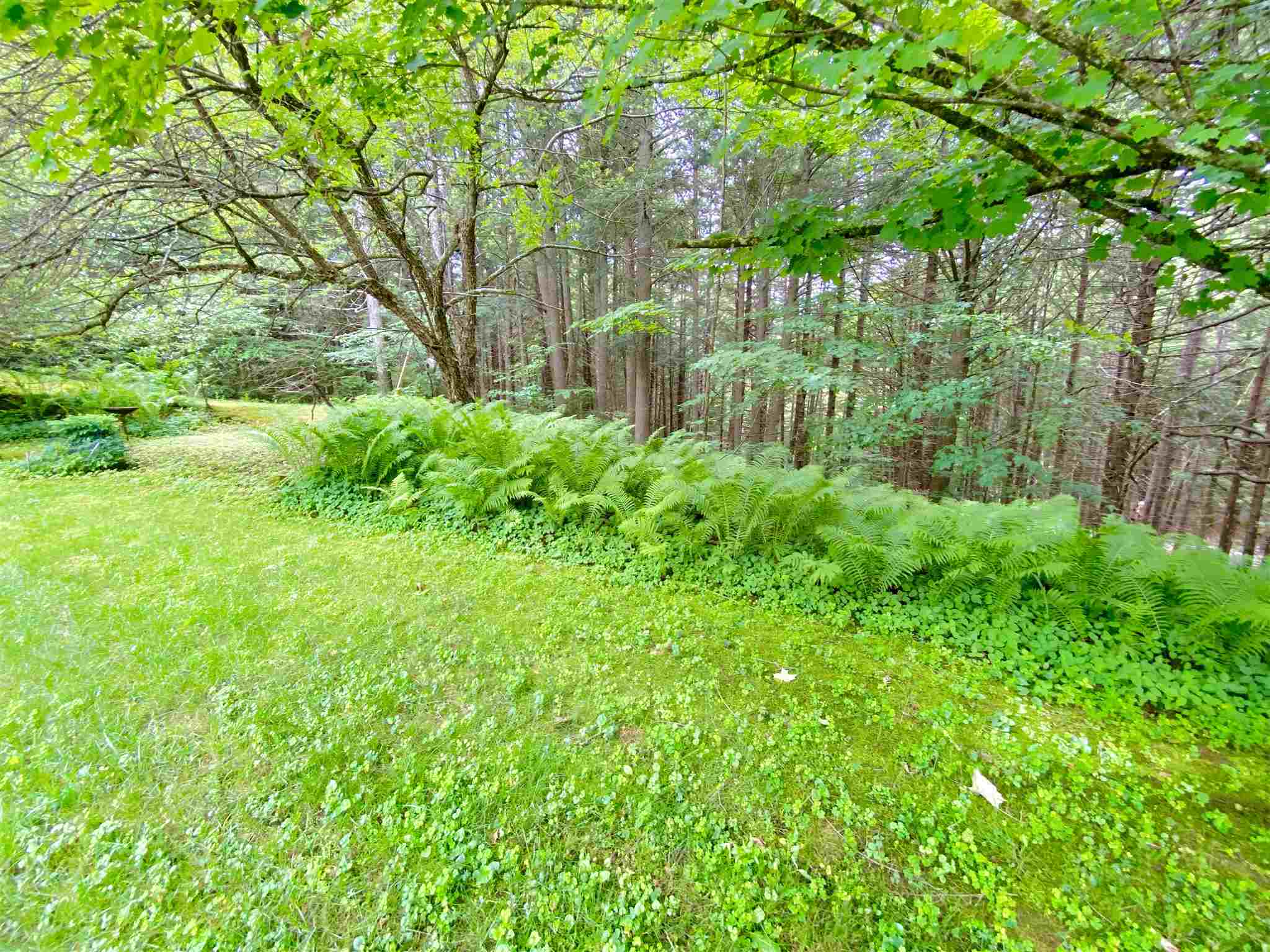 140 Bruyn Road Plymouth, VT 05056 - Photo 7 of 35 Gallery Image 7