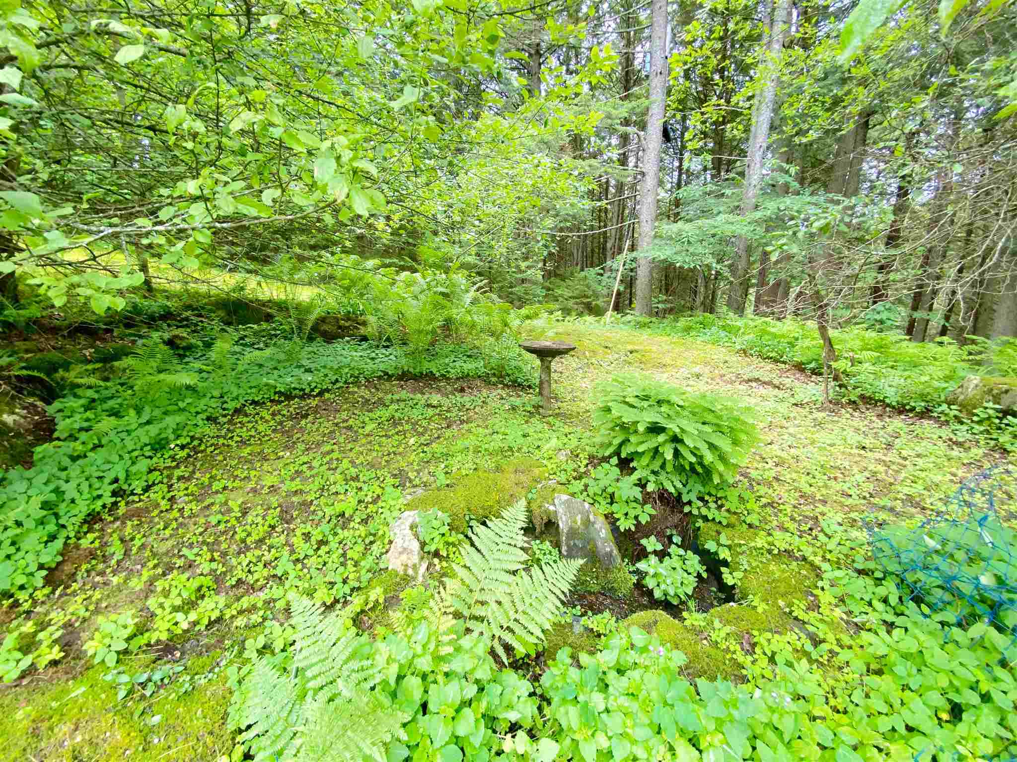 140 Bruyn Road Plymouth, VT 05056 - Photo 8 of 35 Gallery Image 8