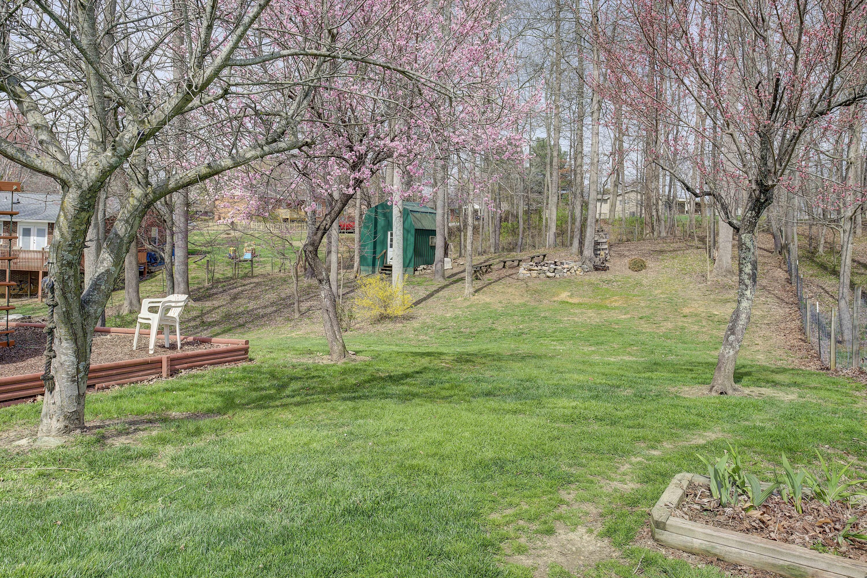 402 Douglas Shed Road Gray, TN 37615 - Photo 14 of 63 Douglas-42