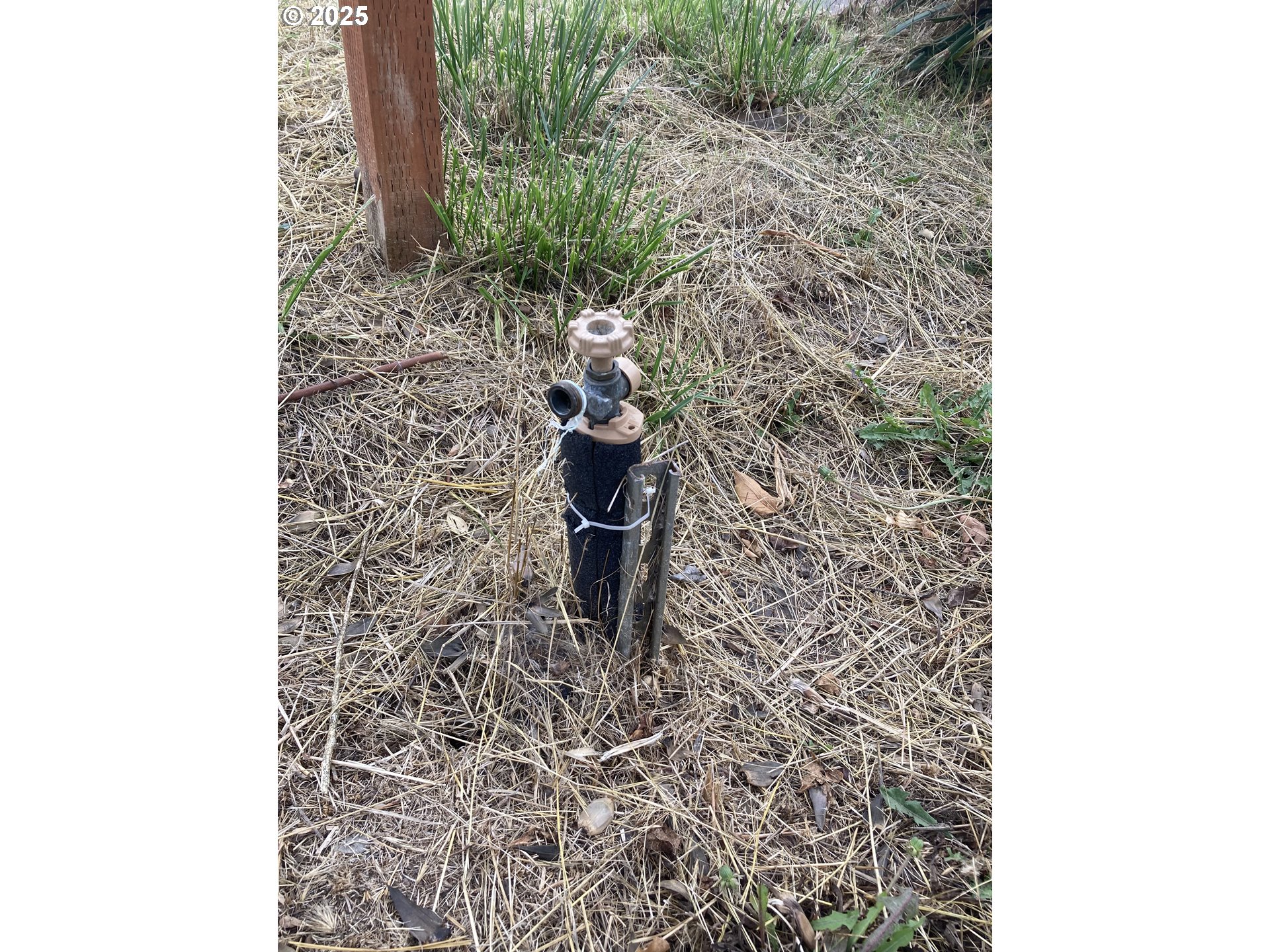 65 Kremont Avenue Springfield, OR 97477 - Photo 5 of 5 a beautiful room