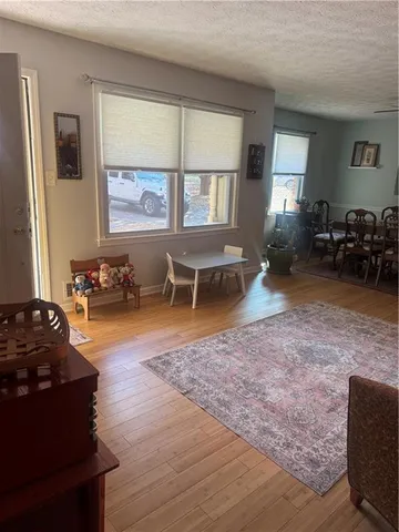 a living room with furniture rug and window