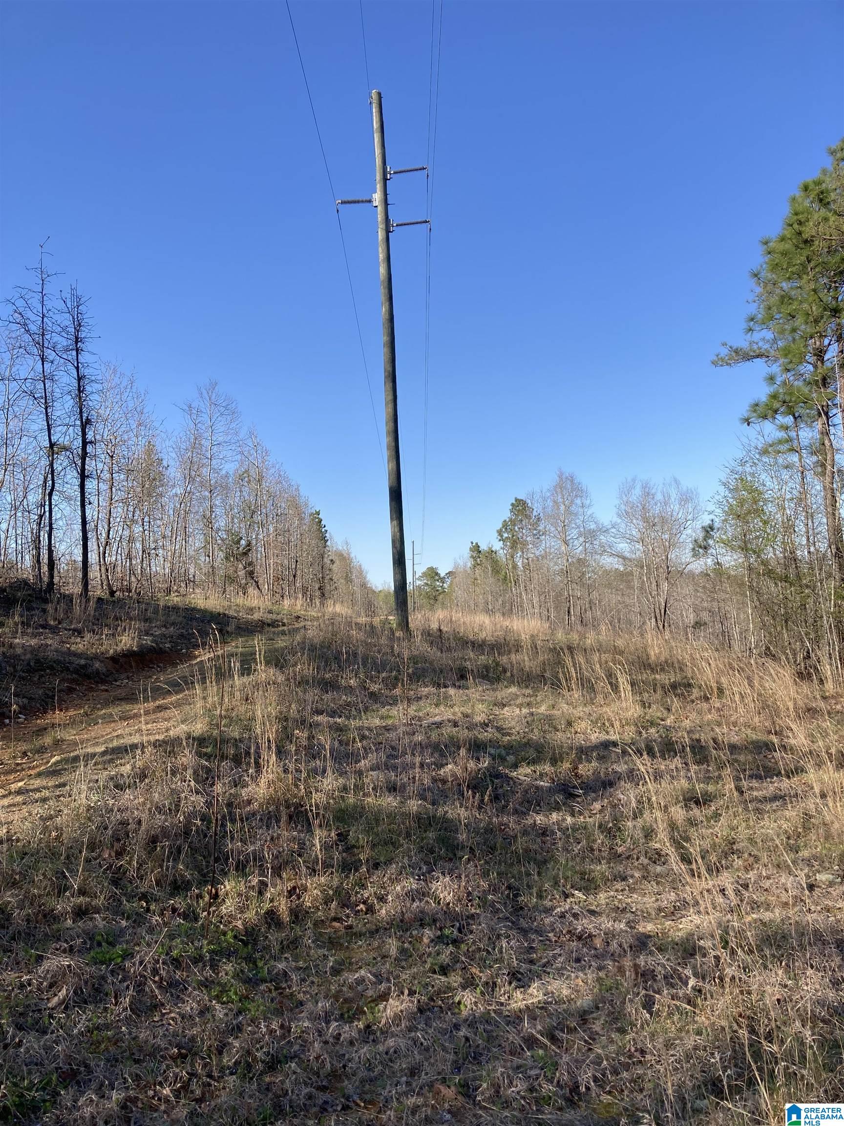 0 Jackson Trace Road, Unit 4 1 Talladega, AL 35160 - Photo 3 of 27