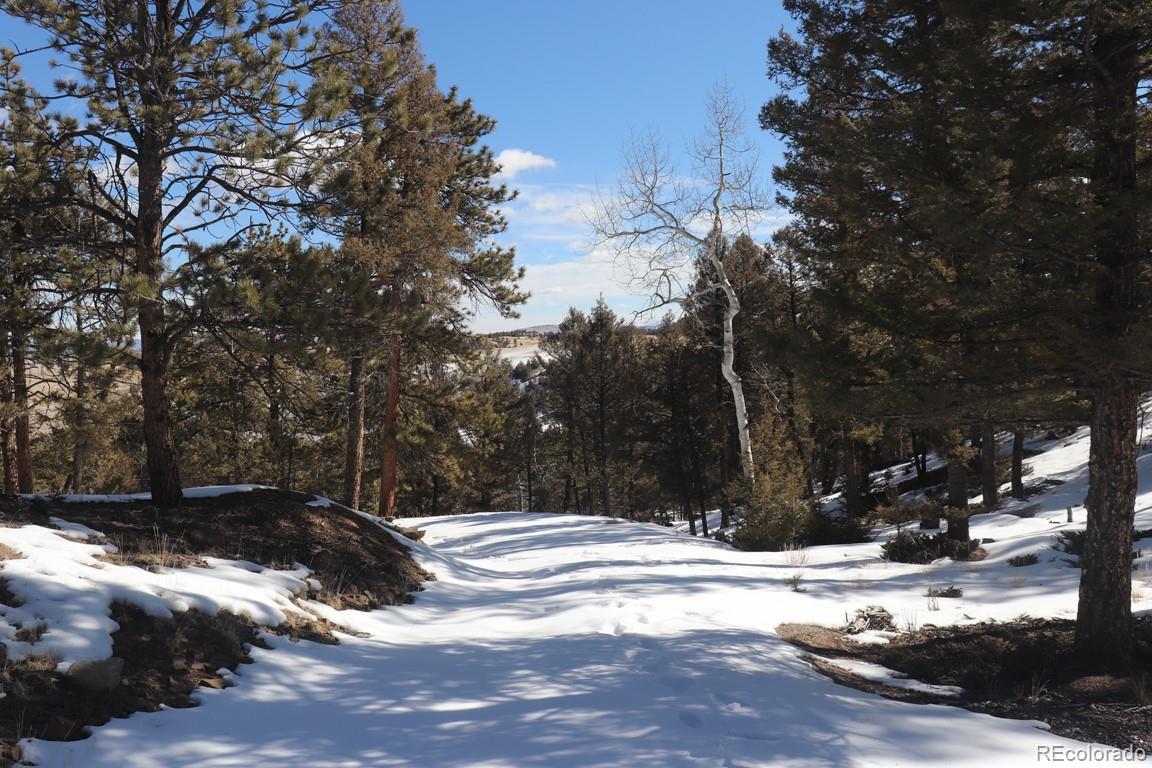 394 Bellows Road Hartsel, CO 80449 - Photo 11 of 28 a view of snow on the side of a road