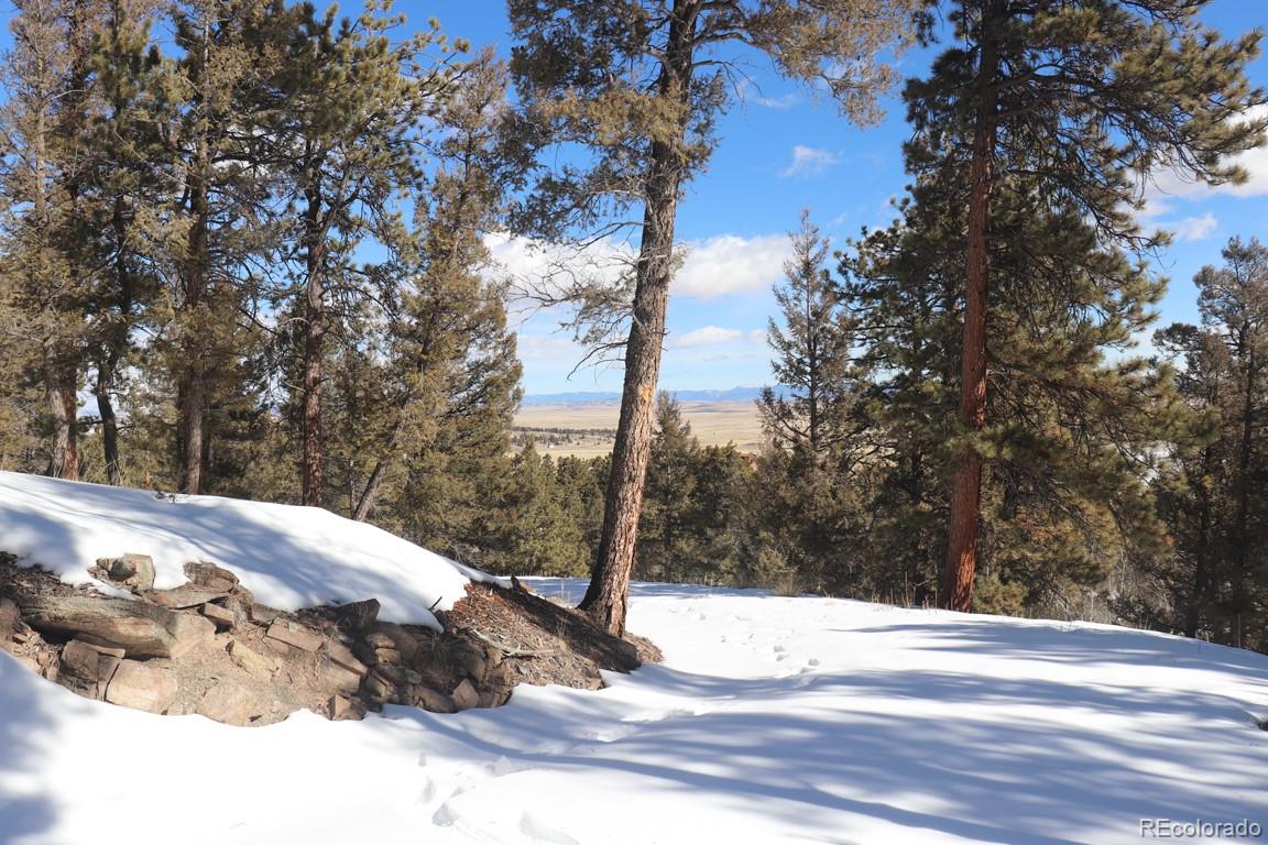 394 Bellows Road Hartsel, CO 80449 - Photo 16 of 28 a view of a yard with trees