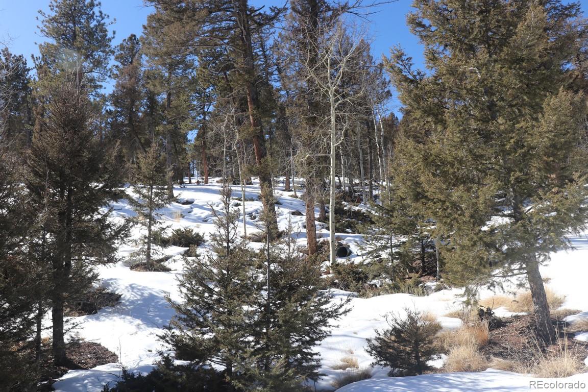394 Bellows Road Hartsel, CO 80449 - Photo 17 of 28 a view of snow on a city