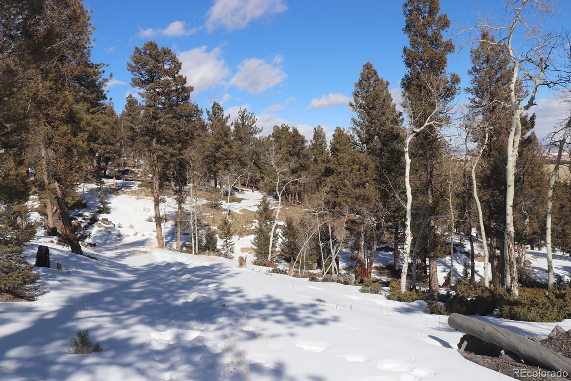 394 Bellows Road Hartsel, CO 80449 - Photo 19 of 28 a view of outdoor space with trees