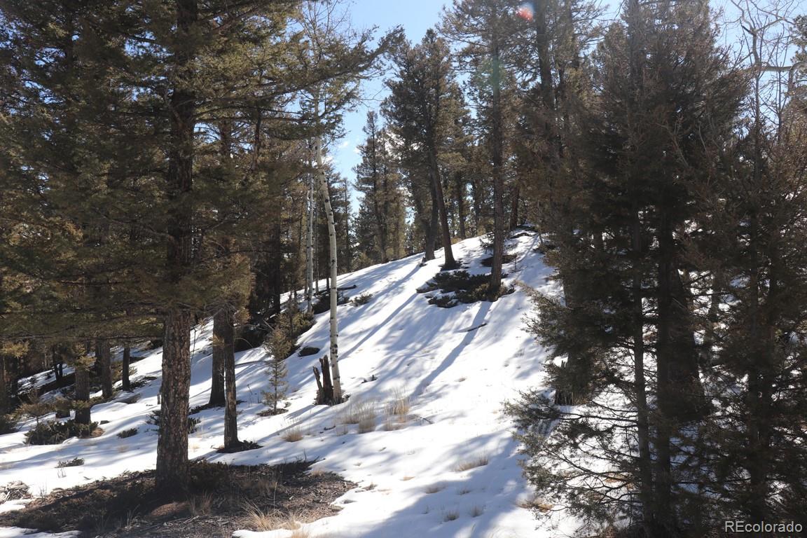 394 Bellows Road Hartsel, CO 80449 - Photo 27 of 28 a view of outdoor space with covered trees