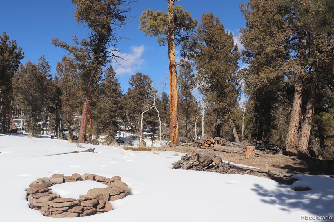 394 Bellows Road Hartsel, CO 80449 - Photo 7 of 28 a view of road with with trees