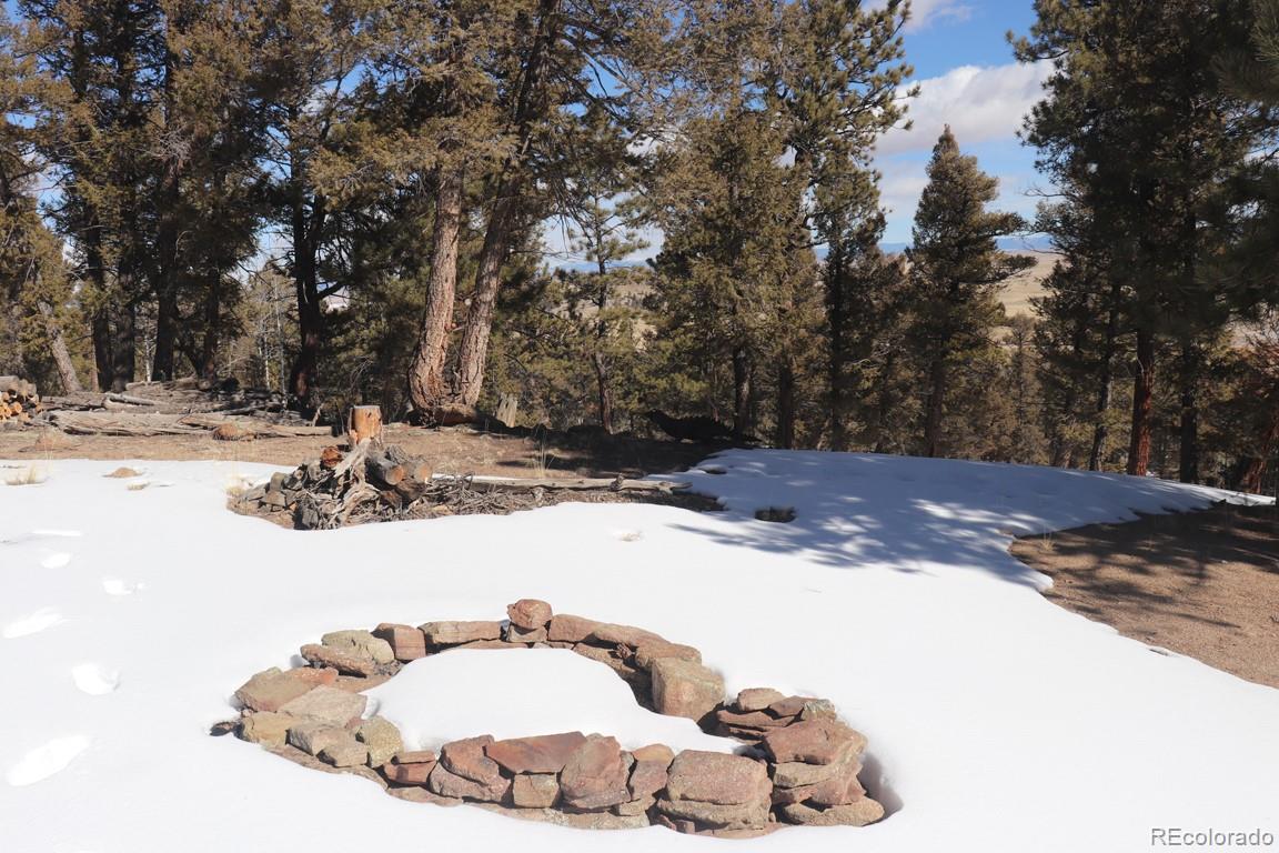 394 Bellows Road Hartsel, CO 80449 - Photo 9 of 28 a view of a backyard of the house