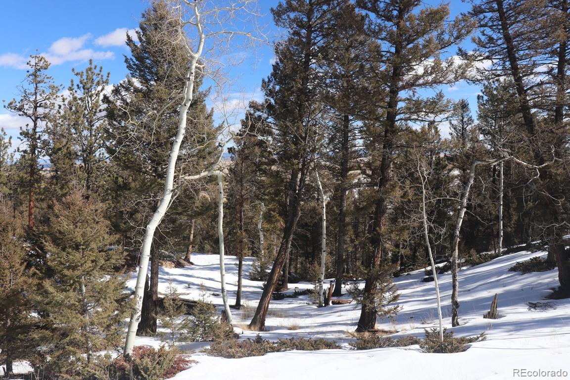 394 Bellows Road Hartsel, CO 80449 - Photo 10 of 28 a backyard of a house with lots of green space