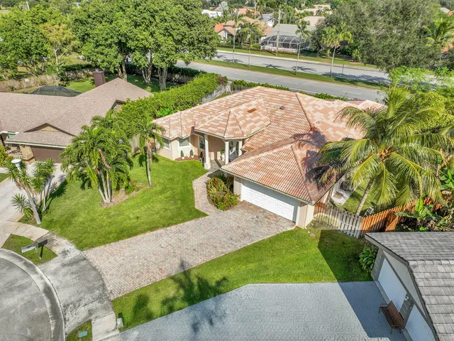 a view of a yard with a large tree