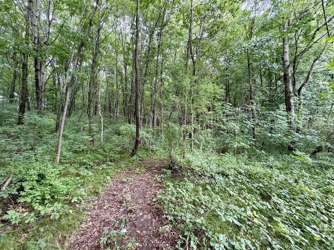 V/l Banfield Road Delton, MI 49046 - Photo 15 of 61 Gallery Image 15