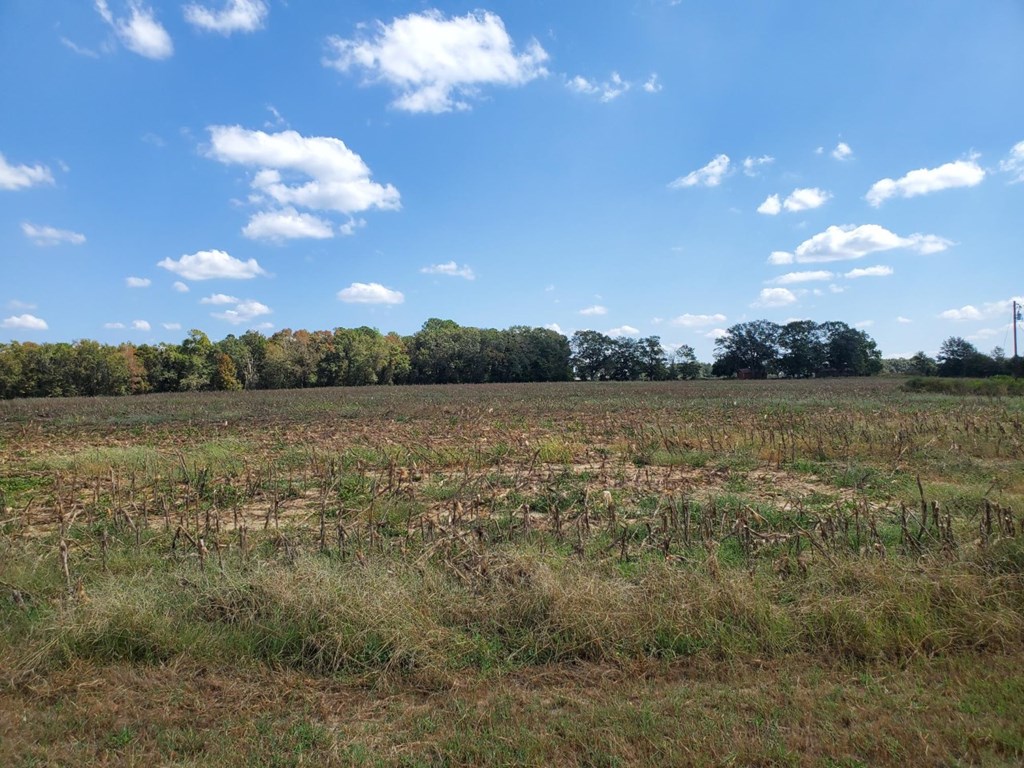 1243 Scott Road Slocomb, AL 36375 - Photo 6 of 10