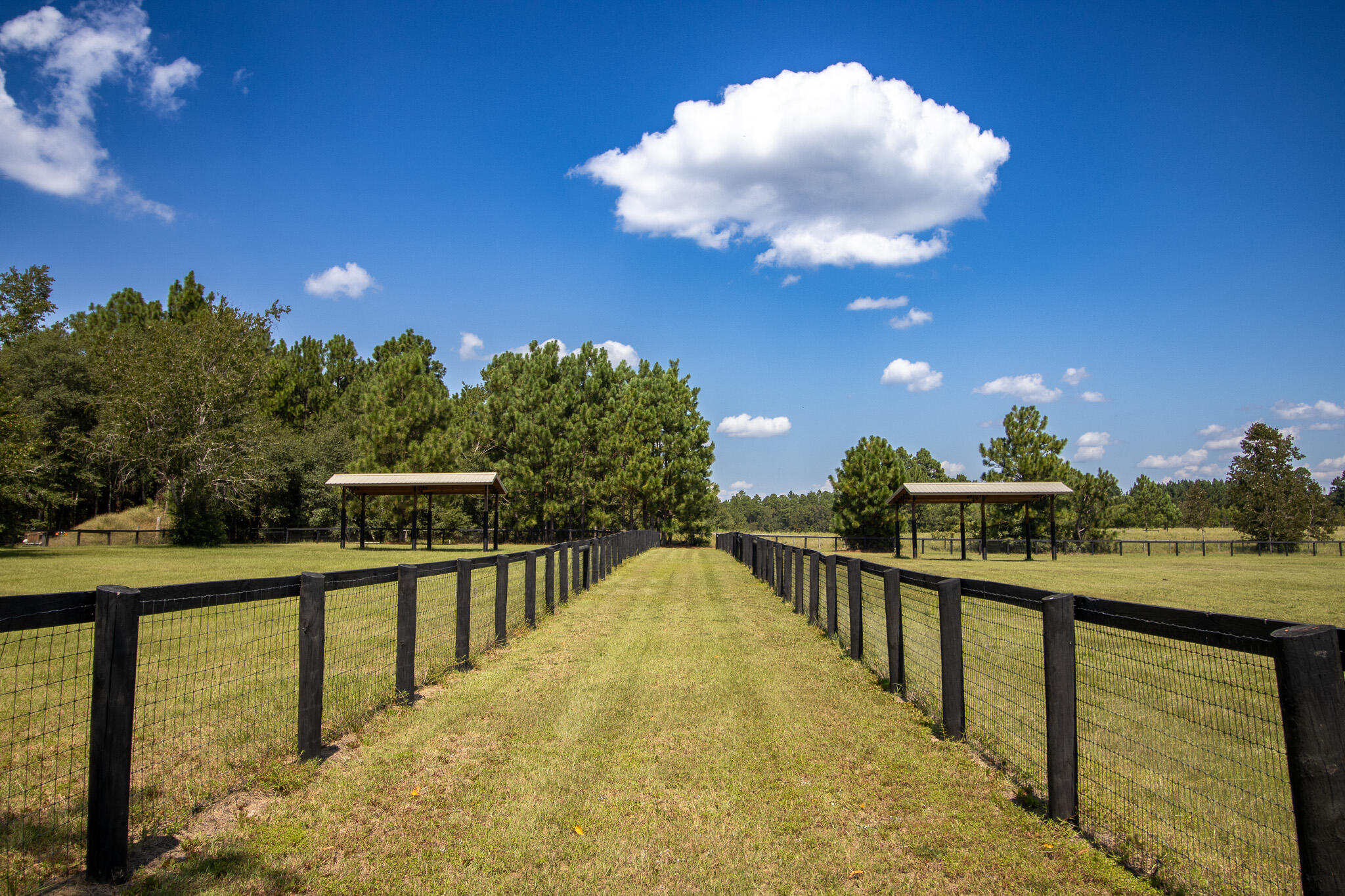 571 Oak Ridge Club Road Windsor, SC 29856 - Photo 49 of 107