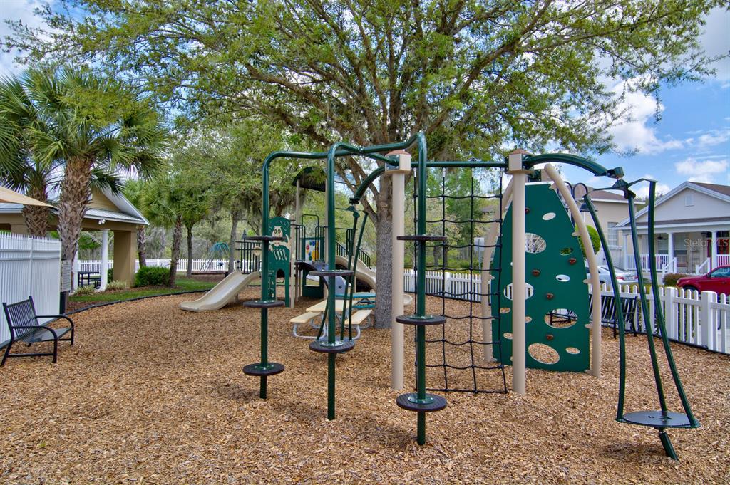 3016 Alachua Place New Port Richey, FL 34655 - Photo 39 of 65 a view of a park with swings