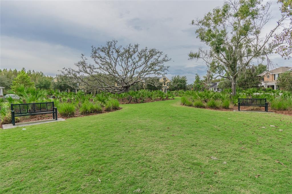 3016 Alachua Place New Port Richey, FL 34655 - Photo 45 of 65 a view of a backyard with large trees