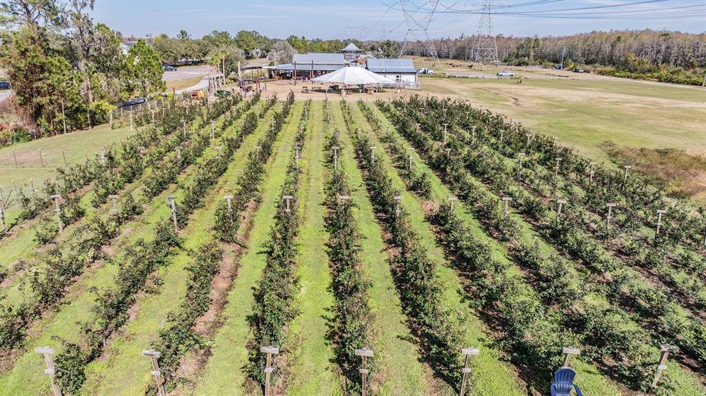 3016 Alachua Place New Port Richey, FL 34655 - Photo 64 of 65