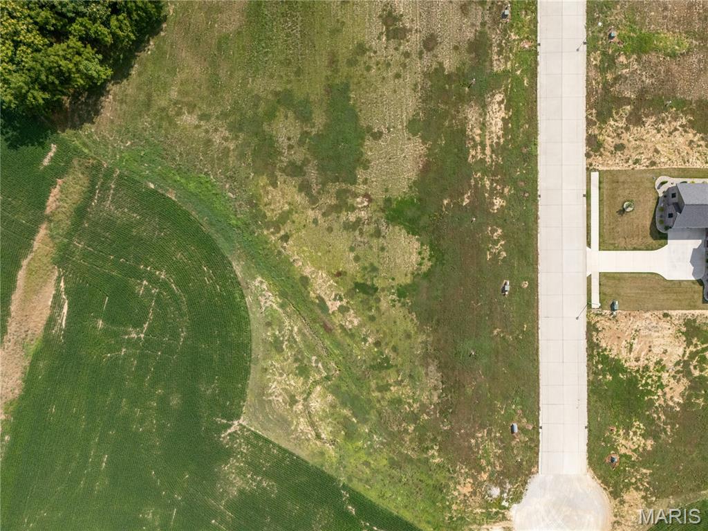 636 Legacy Drive Waterloo, IL 62298 - Photo 7 of 15