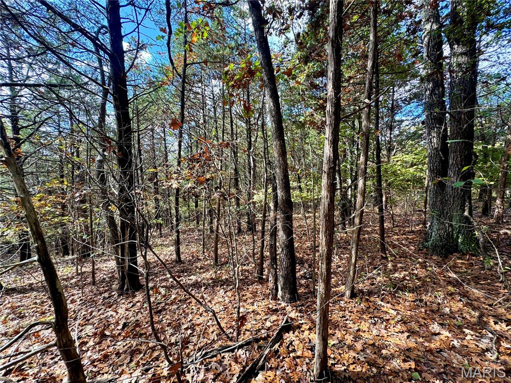 Lot 6 Haverstick School Road Festus, MO 63028 - Photo 8 of 9