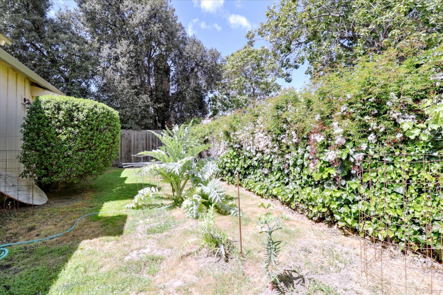 420 Sunset Boulevard Hayward, CA 94541 - Photo 51 of 51 a view of a yard with plants