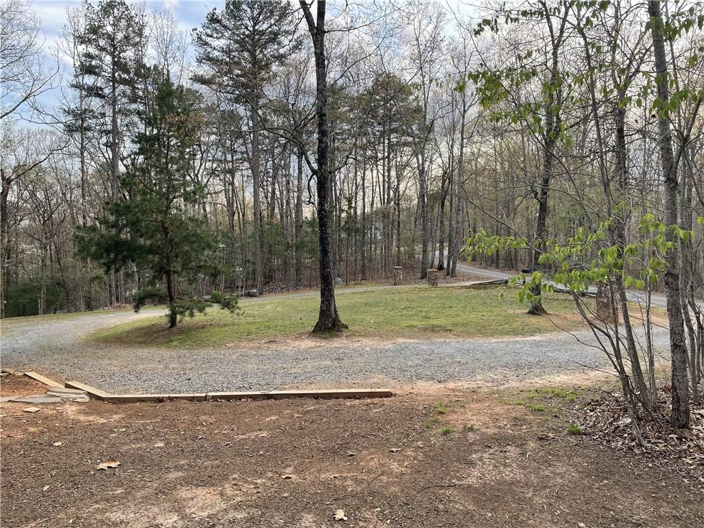 774 Kelly Ridge Drive Blue Ridge, GA 30513 - Photo 24 of 99