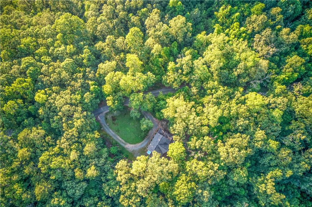 774 Kelly Ridge Drive Blue Ridge, GA 30513 - Photo 74 of 99 a backyard of a house with a sink and yard