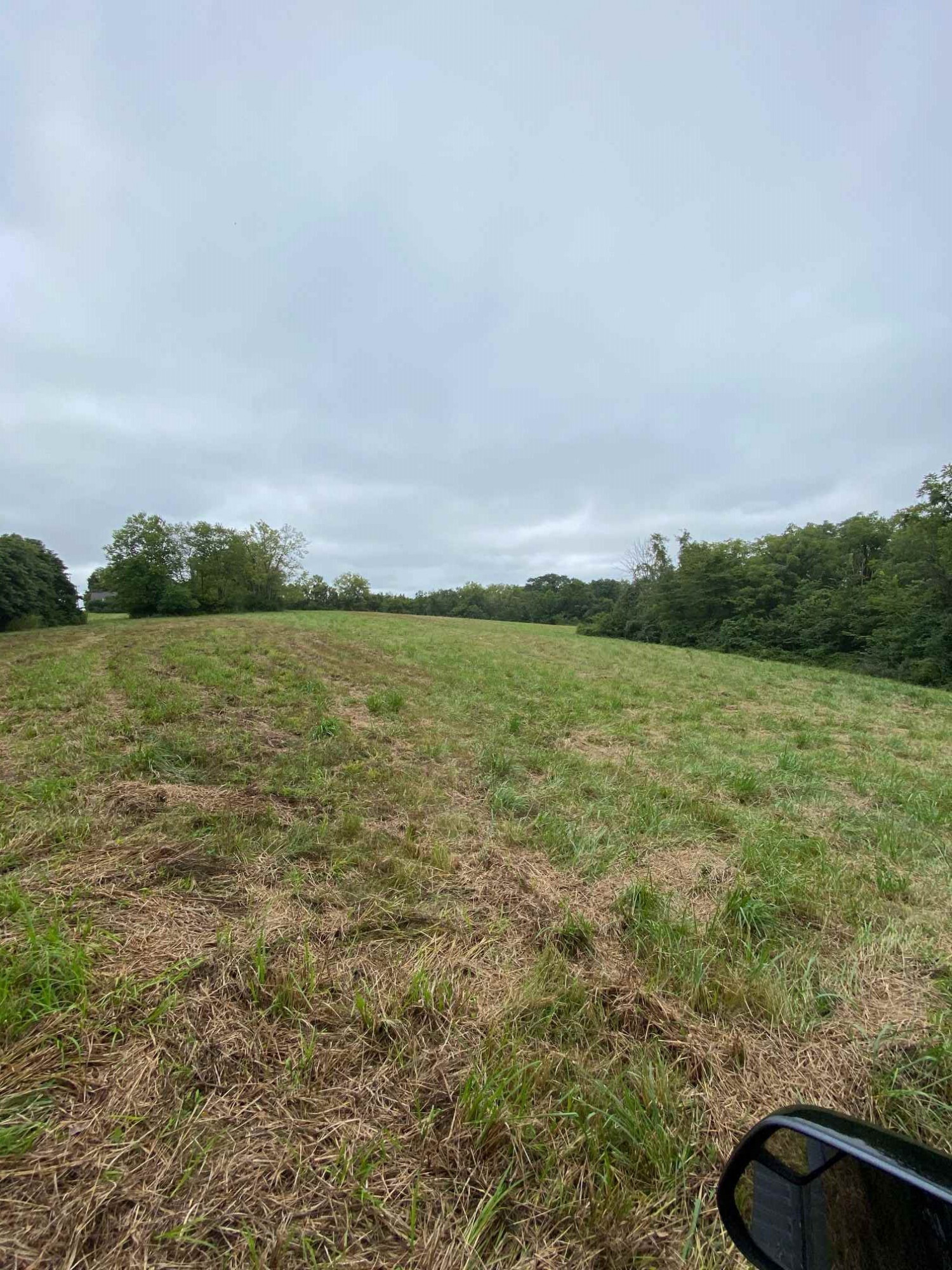 3 Baton Rouge Road Williamstown, KY 41097 - Photo 24 of 25