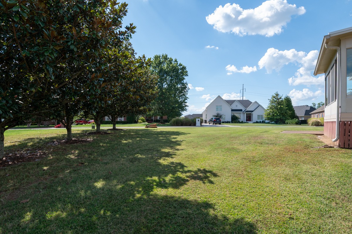 105 Robin Point Gallatin, TN 37066 - Photo 52 of 59 a view of a tree in front of a house with a big yard