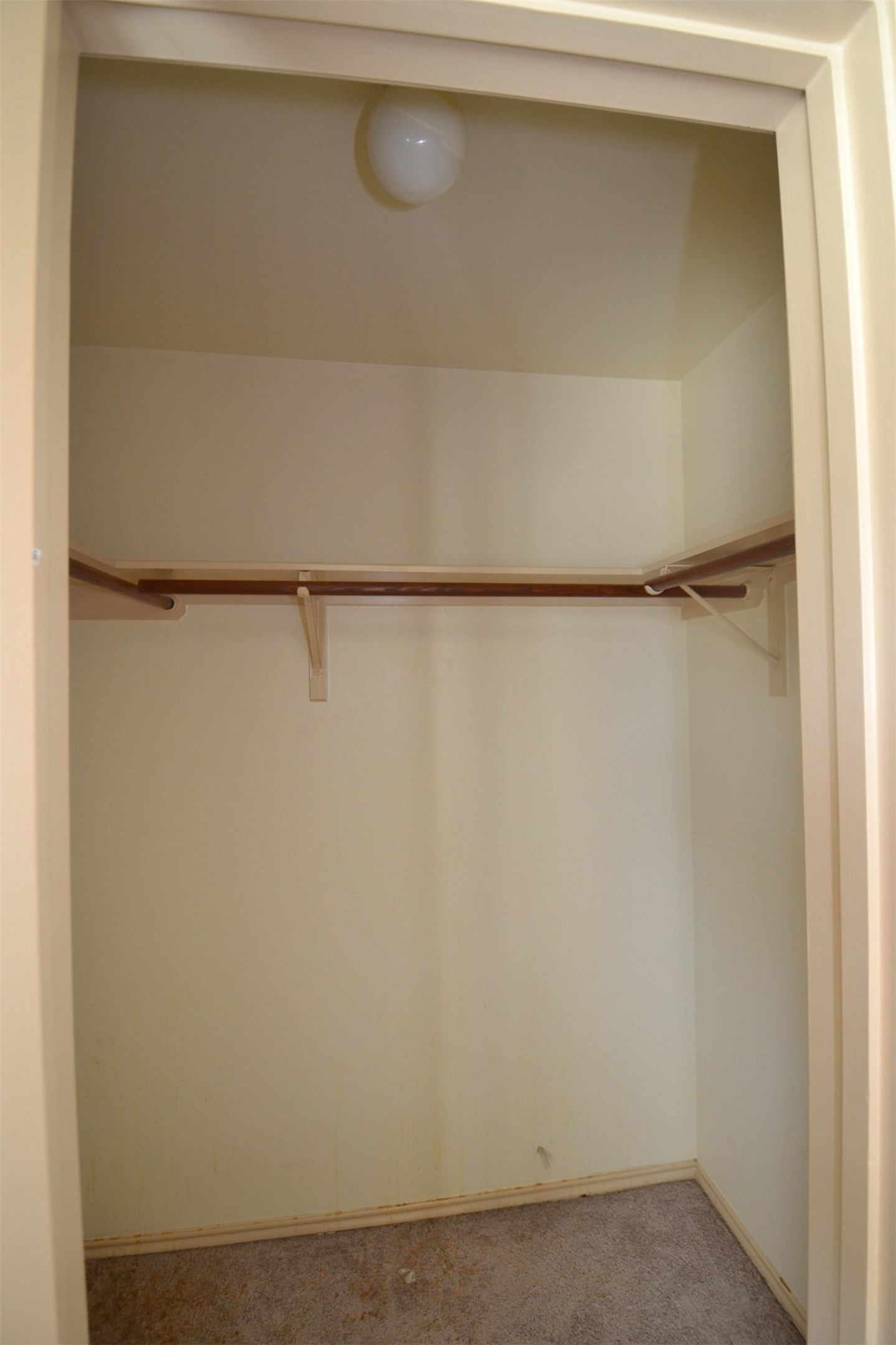 6912 Meador Avenue, Unit A Austin, TX 78752 - Photo 15 of 22 Walk in closet with carpet flooring