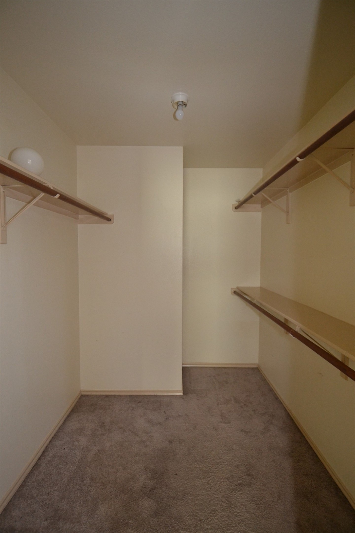 6912 Meador Avenue, Unit A Austin, TX 78752 - Photo 9 of 22 Walk in closet featuring carpet floors