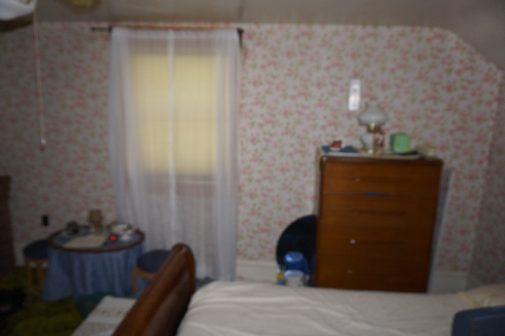 1924 East 6000th Road South St. Anne, IL 60964 - Photo 28 of 35 a bedroom with a bed and a potted plant