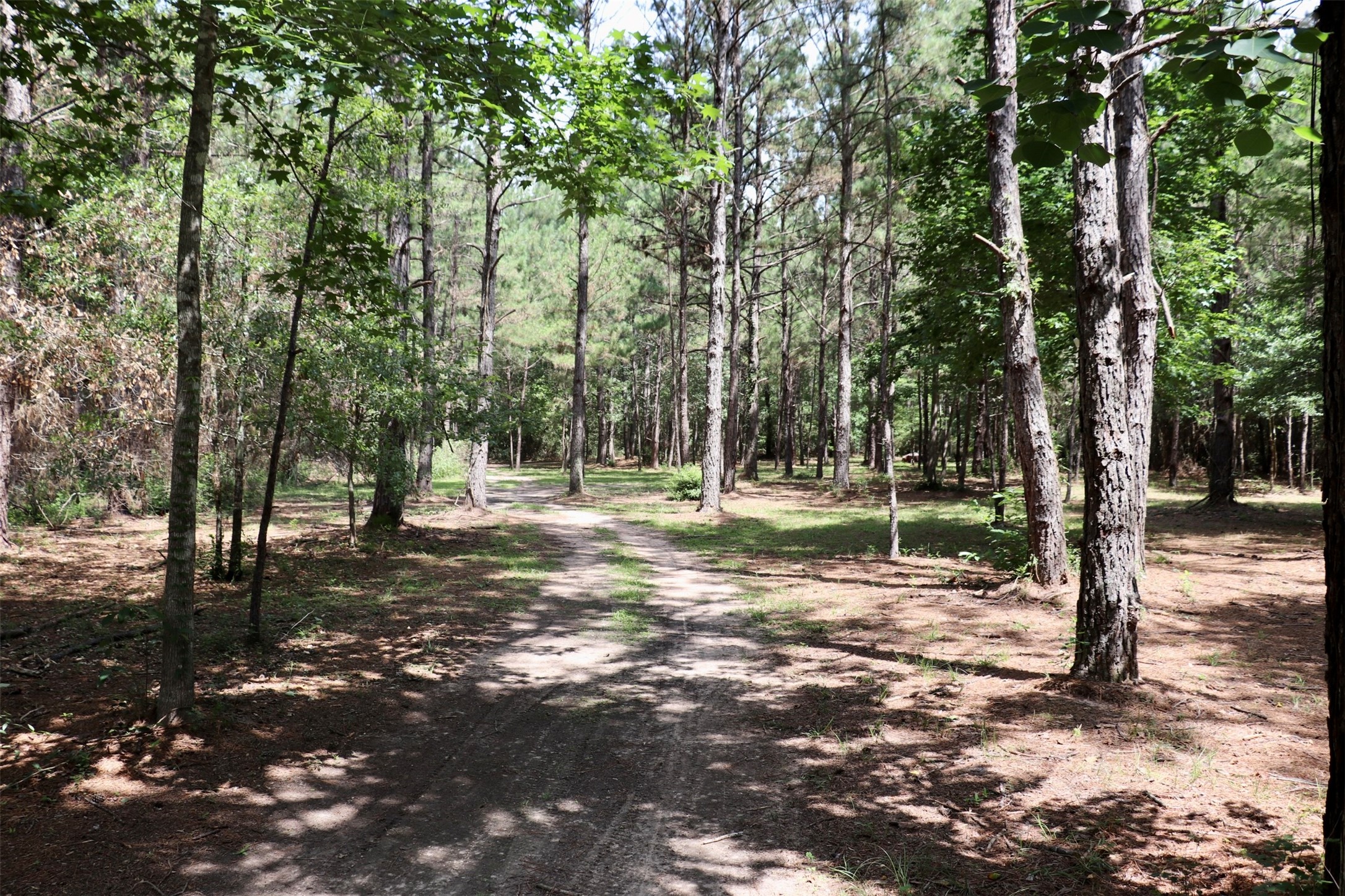 1250 Meekins Road Cleveland, TX 77328 - Photo 29 of 44