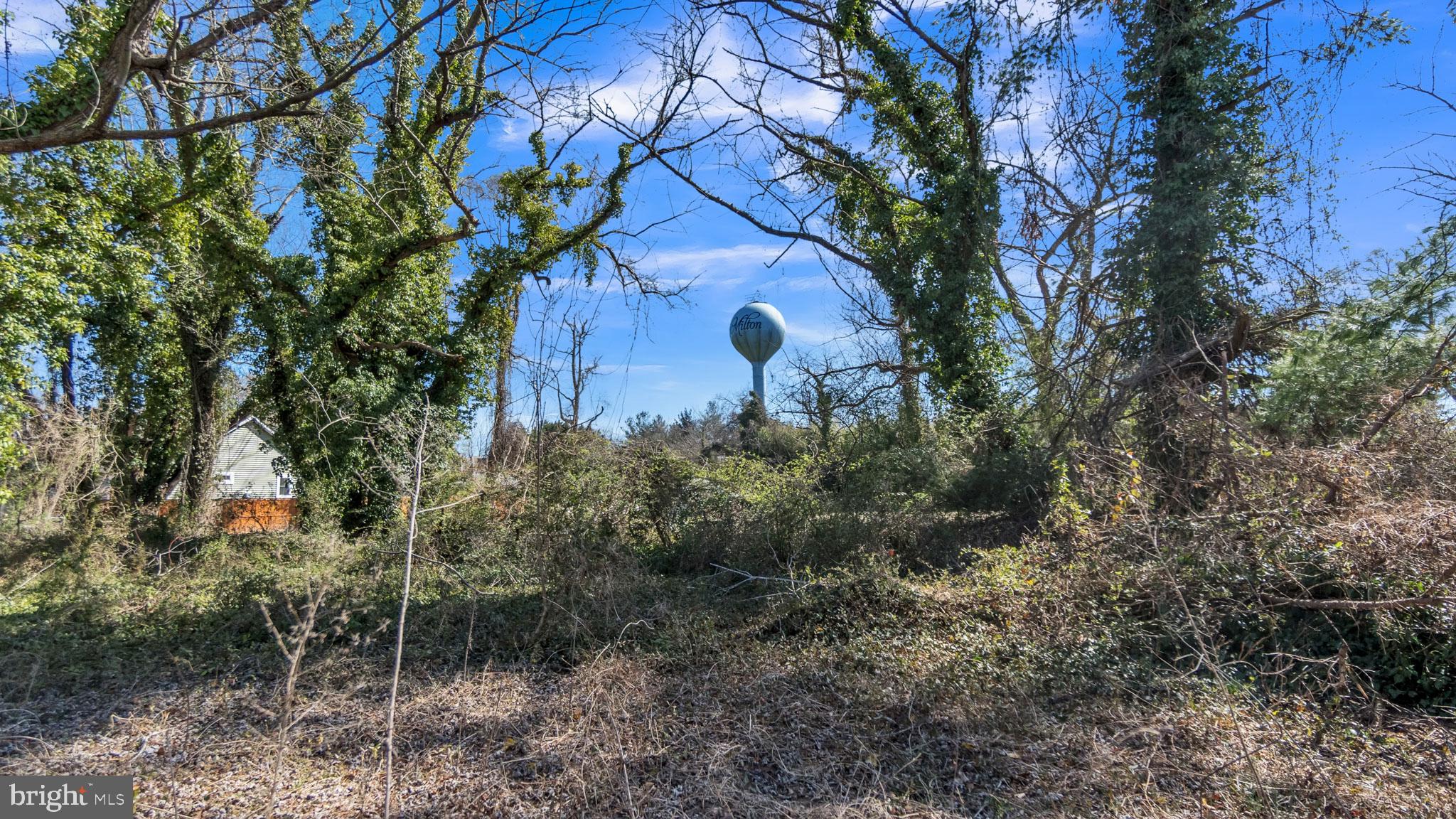 321 Union Street Milton, DE 19968 - Photo 31 of 51