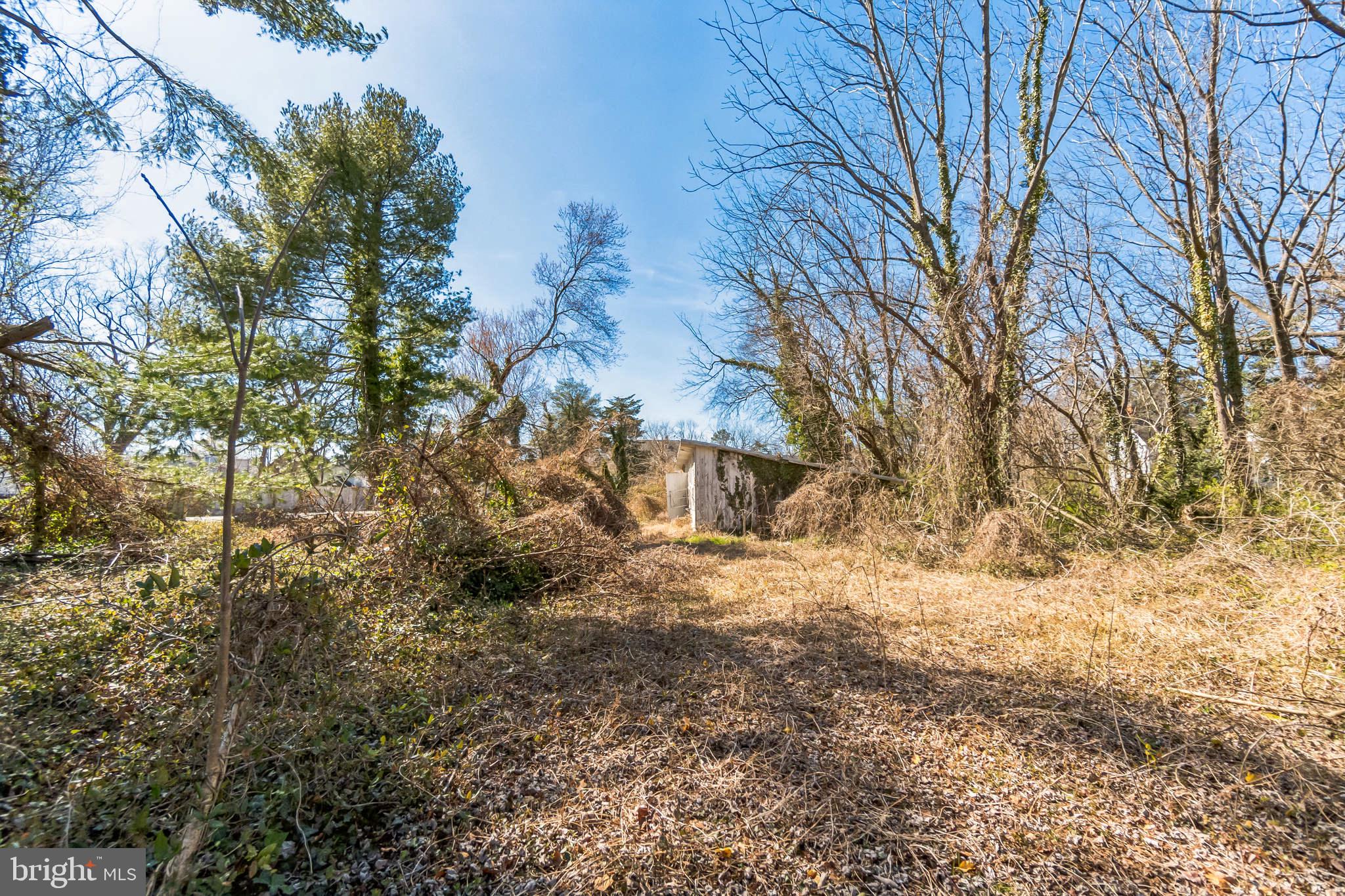 321 Union Street Milton, DE 19968 - Photo 32 of 51