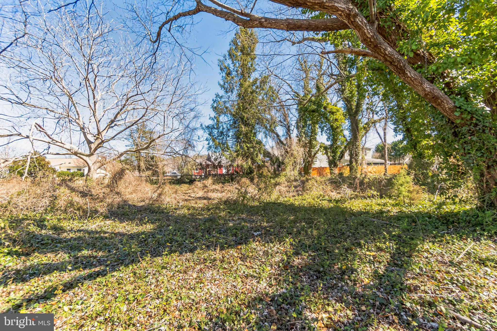 321 Union Street Milton, DE 19968 - Photo 33 of 51