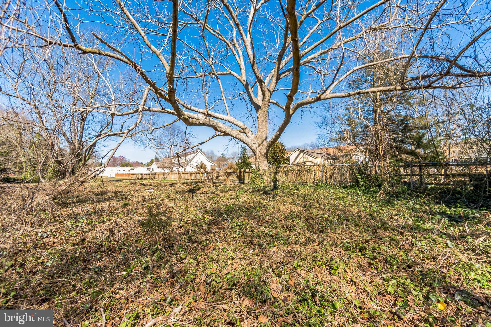 321 Union Street Milton, DE 19968 - Photo 34 of 51