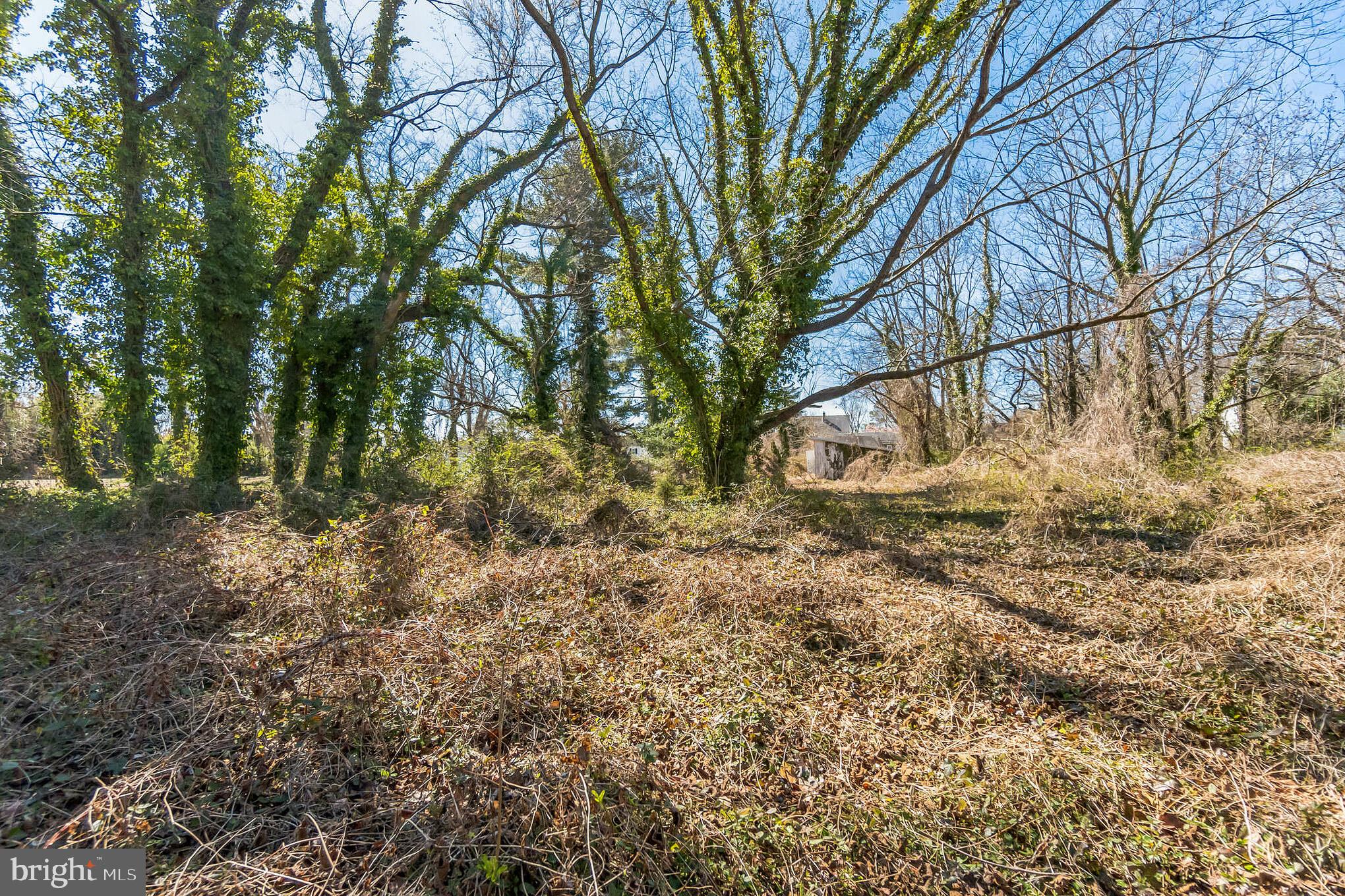 321 Union Street Milton, DE 19968 - Photo 35 of 51