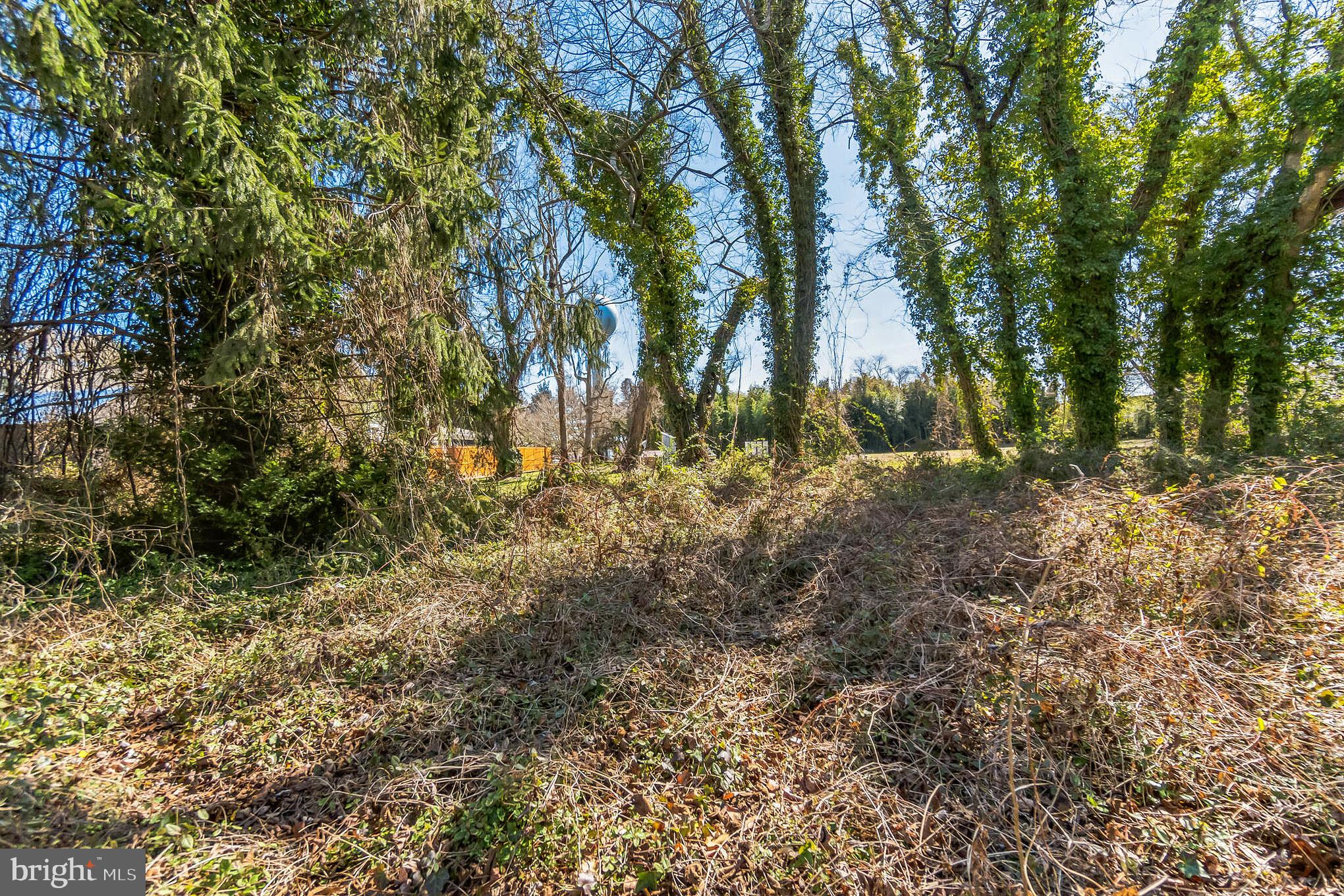 321 Union Street Milton, DE 19968 - Photo 36 of 51