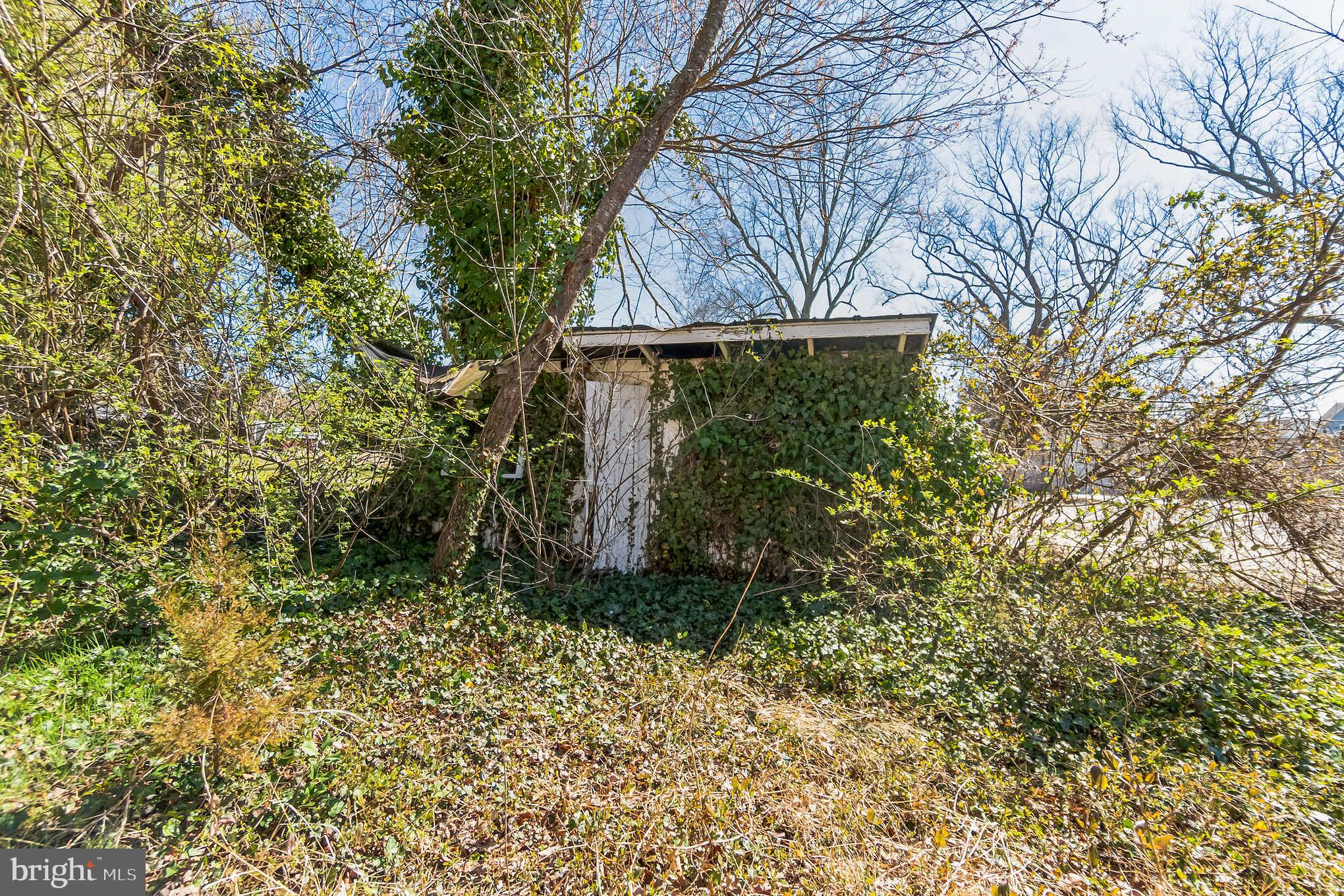 321 Union Street Milton, DE 19968 - Photo 37 of 51