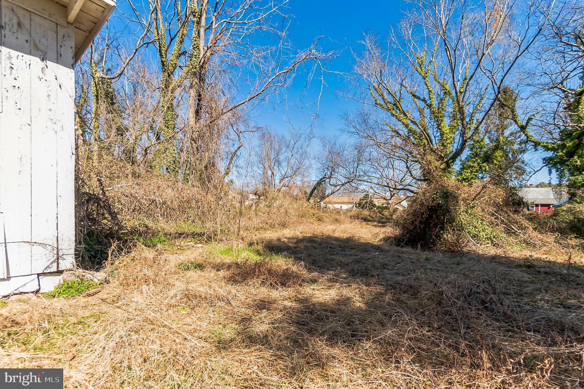 321 Union Street Milton, DE 19968 - Photo 38 of 51