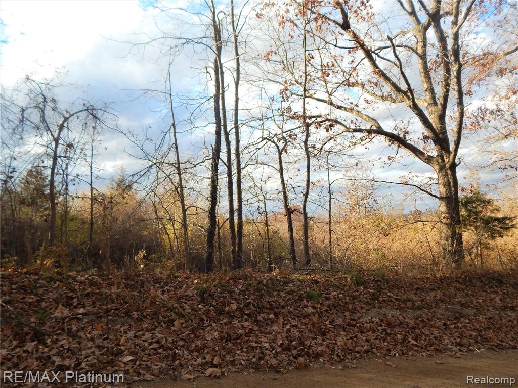 0 Bentley Lake Road Pinckney, MI 48169 - Photo 11 of 24