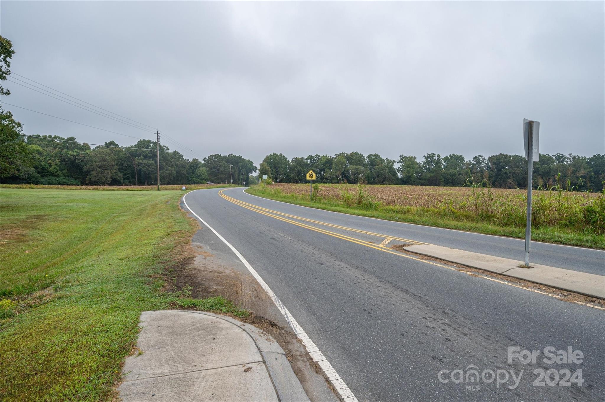 0 Sikes Mill Road Monroe, NC 28110 - Photo 19 of 20