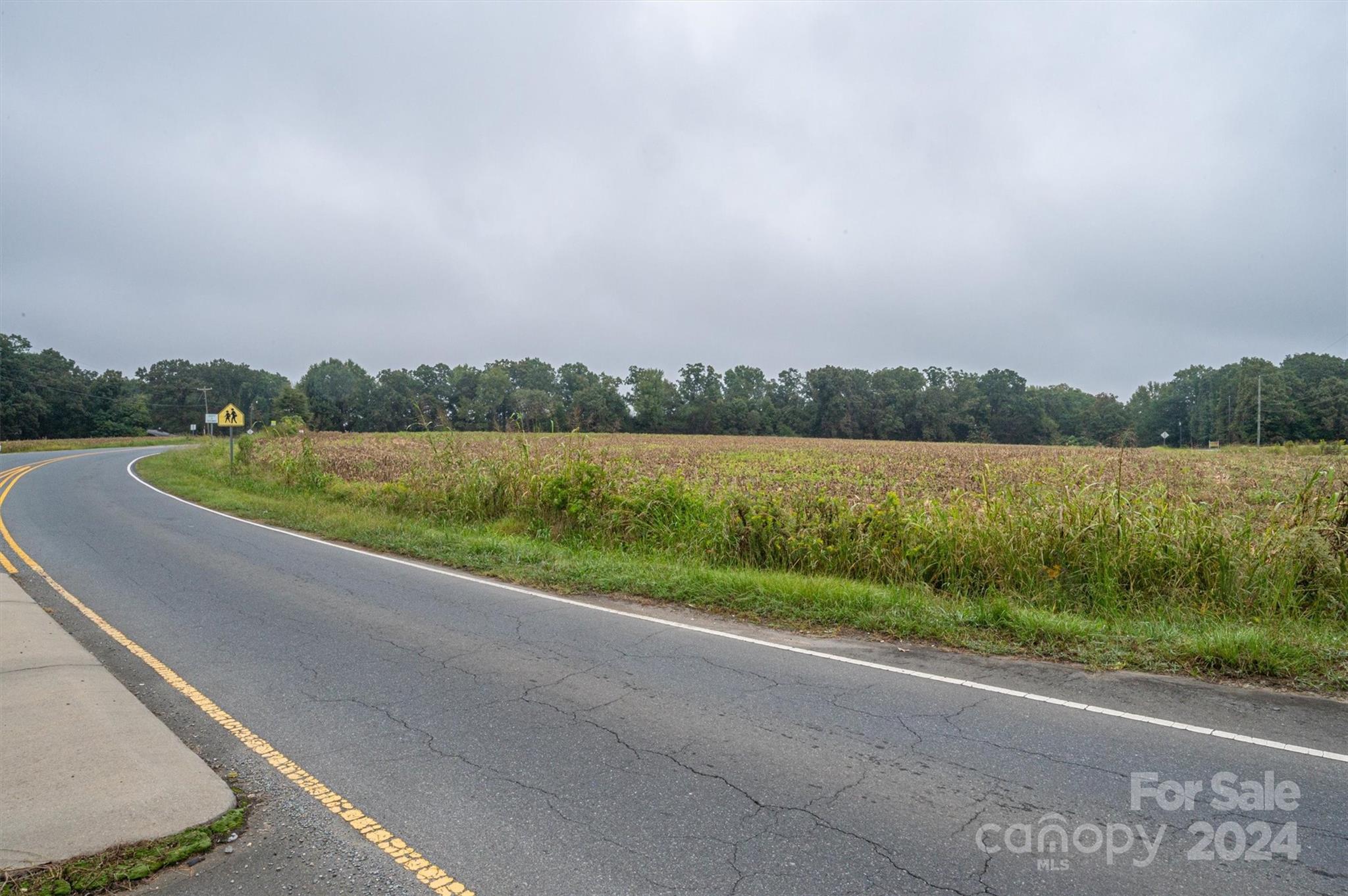 0 Sikes Mill Road Monroe, NC 28110 - Photo 20 of 20